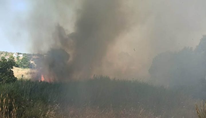 φωτιά Παλλήνη