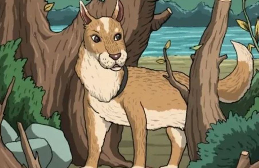 Μπορείτε να βρείτε την κρυμμένη γάτα σε αυτή την οπτική ψευδαίσθηση;