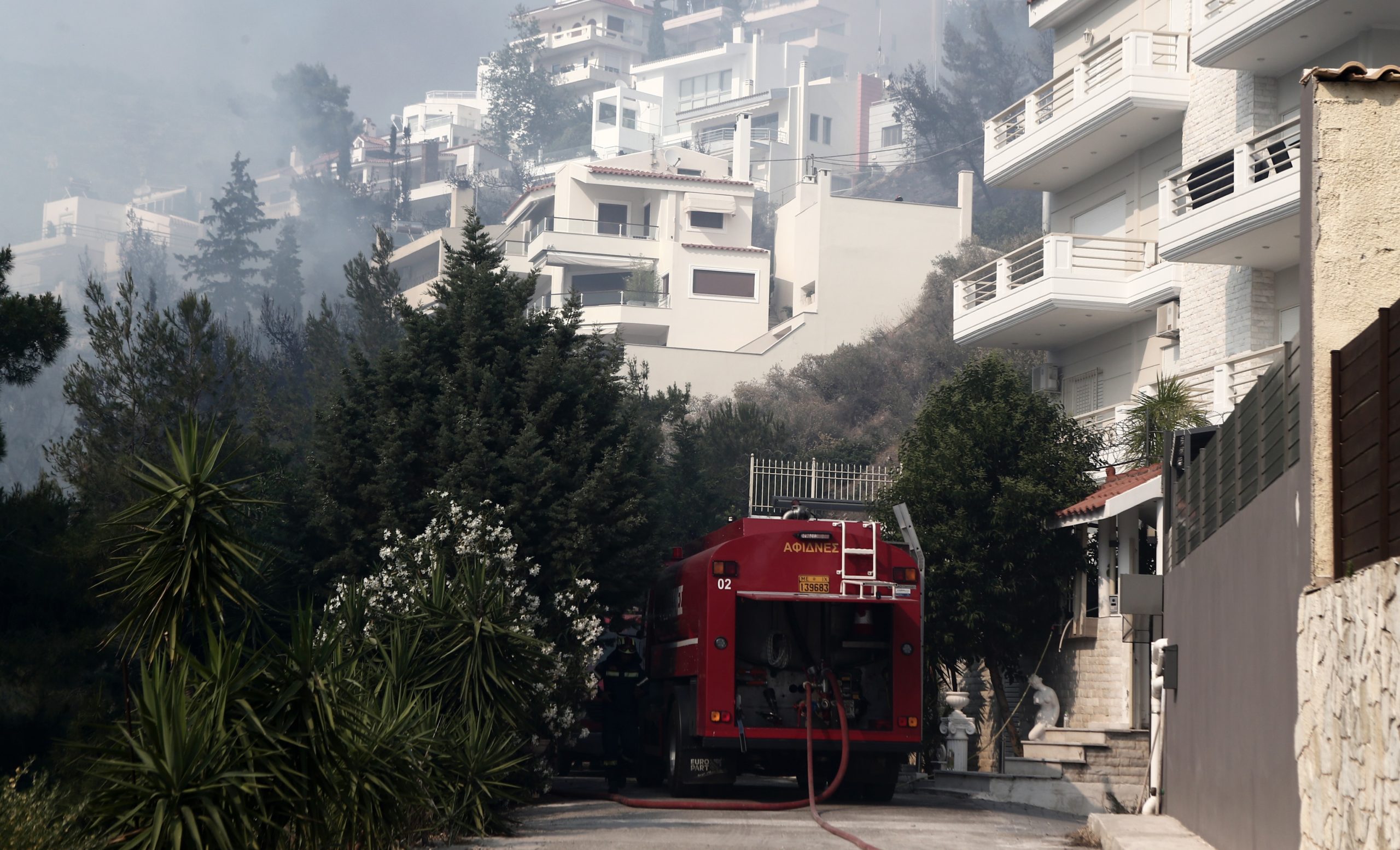 Φωτιά Γλυφάδα – Βούλα: Φτερά και πούπουλα για το… πουλί που έβαλε την πυρκαγιά