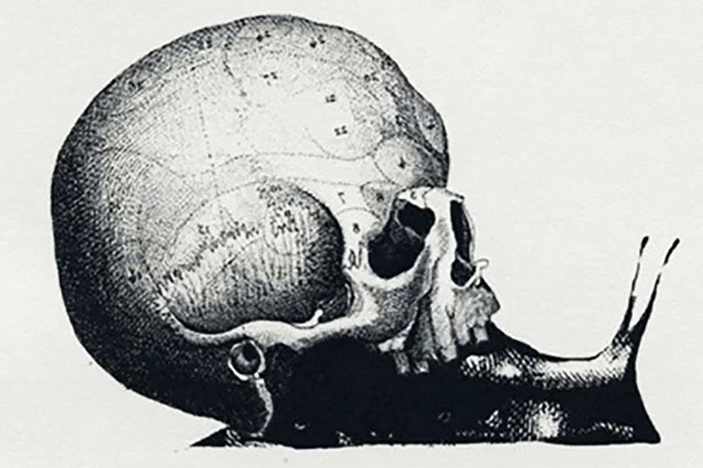 Η οπτική ψευδαίσθηση που αποκαλύπτει τη δουλειά των ονείρων σας