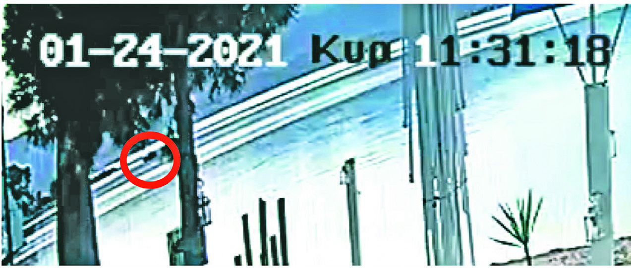 Υπόθεση Βαλυράκη