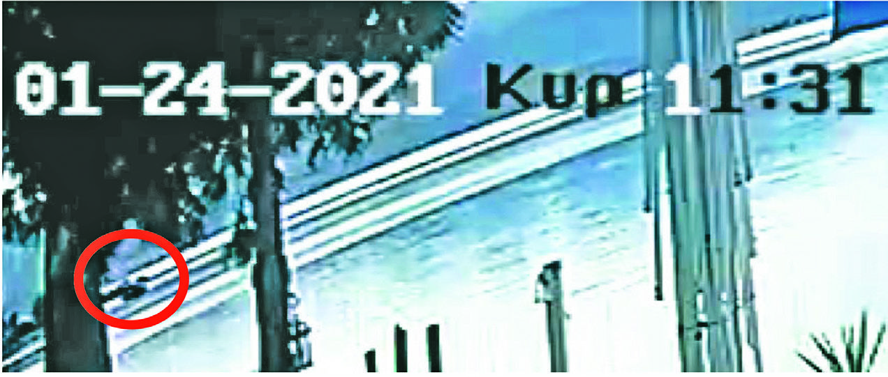 Υπόθεση Βαλυράκη