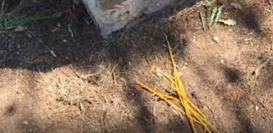 κεριά - Μαλακάσα