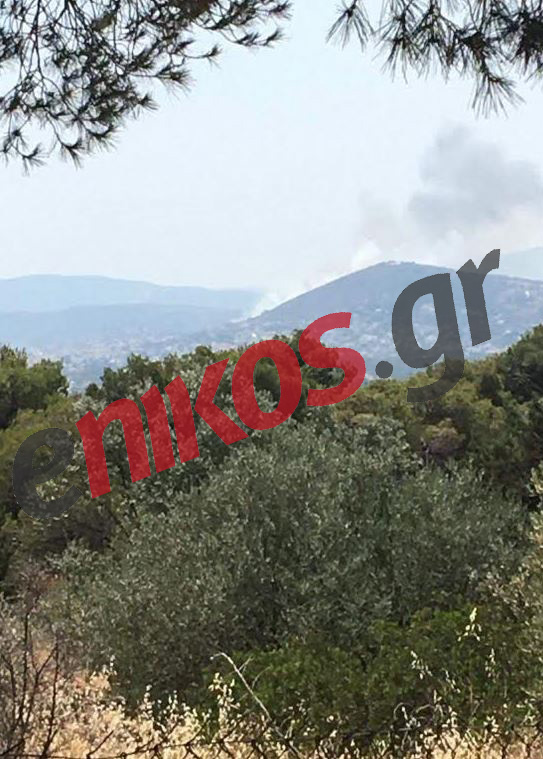 Λούτσα φωτιά