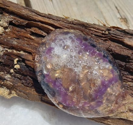 μωβ μέδουσες