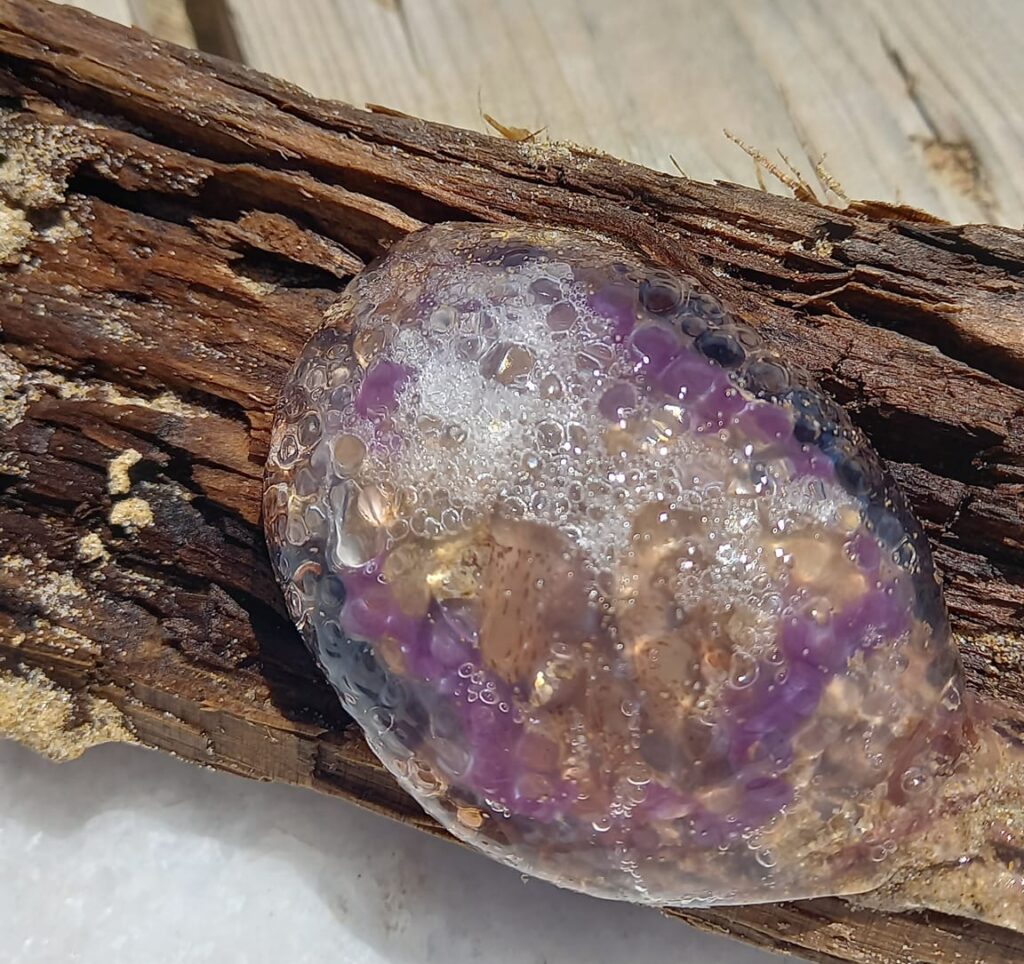 μωβ μέδουσες