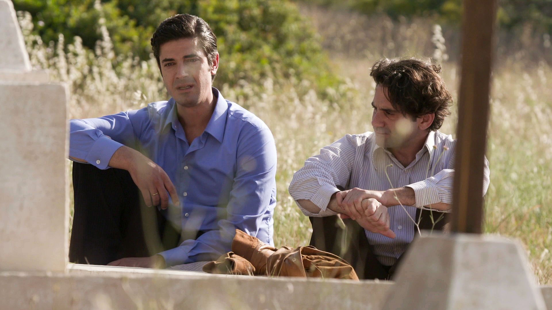 Άγριες Μέλισσες