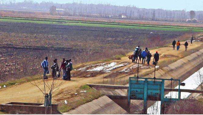 4 «γκρίζες» ΜΚΟ στέλνουν μετανάστες στον Έβρο