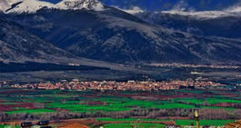 Δράμα δολοφονία γυναικοκτονία