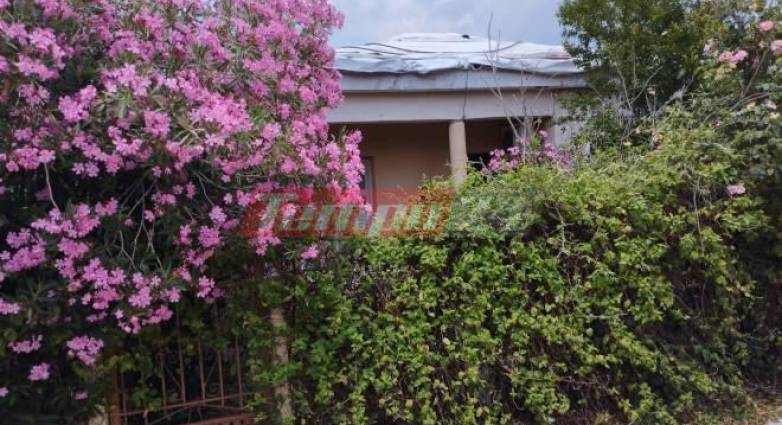 Θύμιος Μπουγάς - Πύργος