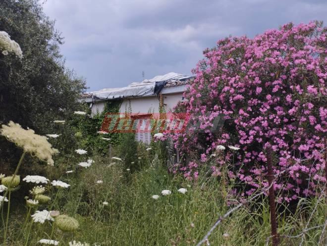 Θύμιος Μπουγάς - Πύργος