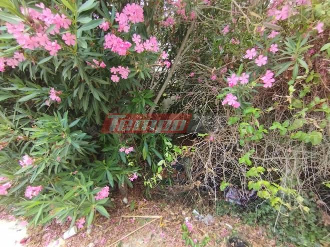 Θύμιος Μπουγάς - Πύργος