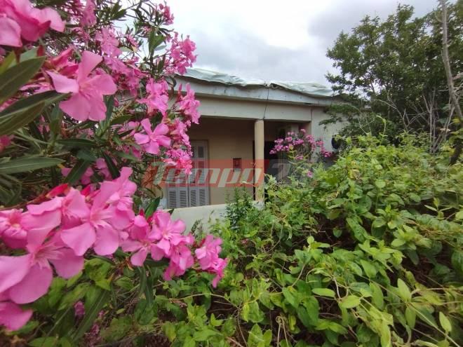 Θύμιος Μπουγάς - Πύργος