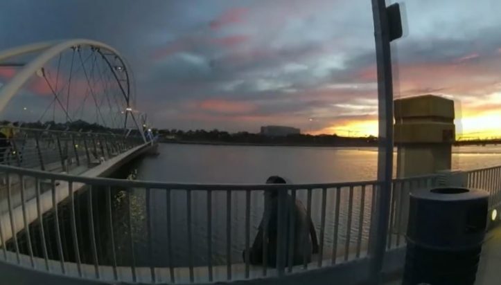 ΗΠΑ - άστεγος