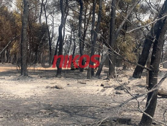 Φωτιά Βαρυμπόμπη