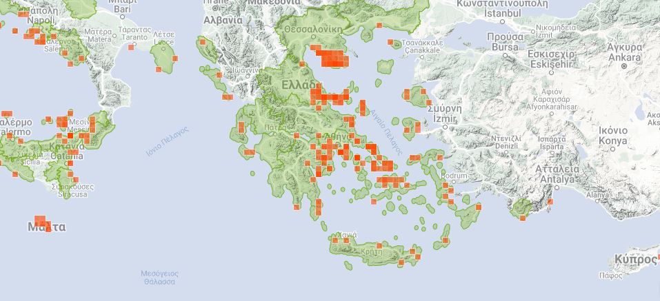 Μωβ μέδουσες 