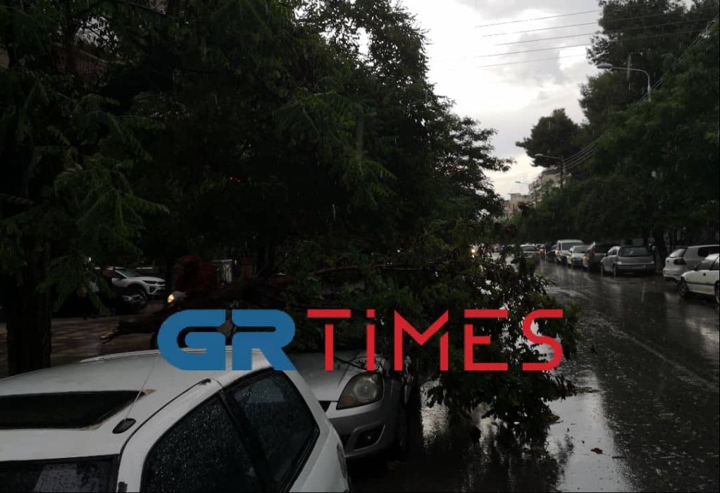 Θεσσαλονίκη: Προβλήματα δημιούργησε η καταιγίδα – Προκλήθηκαν και πτώσεις δέντρων – ΦΩΤΟ – ΒΙΝΤΕΟ