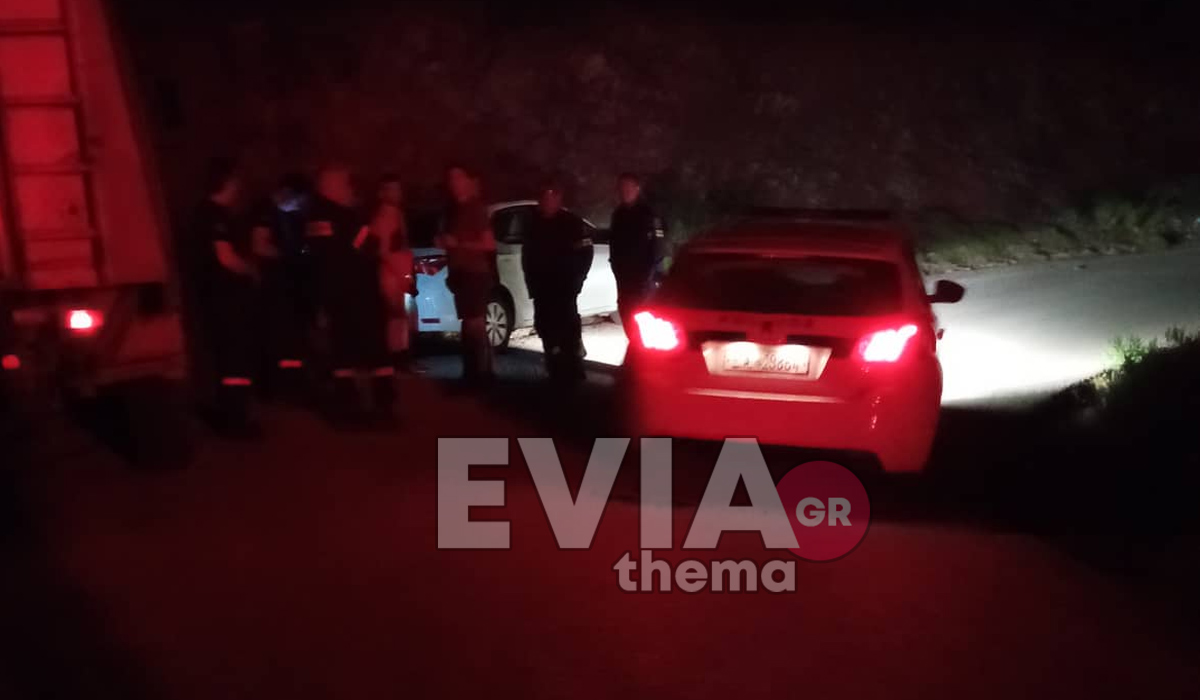 Τροχαίο στην Βόρεια Εύβοια: Αυτοκίνητο έπεσε σε γκρεμό
