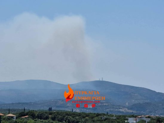 φωτιά Μεσσηνία