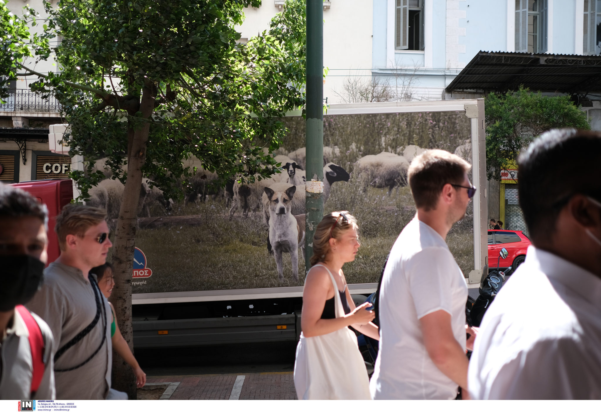 Σαρηγιάννης