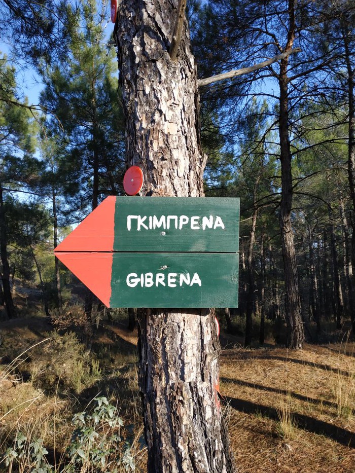 δάσος Δαδιάς - Γκίμπρενα