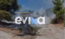 φωτιά- Εύβοια