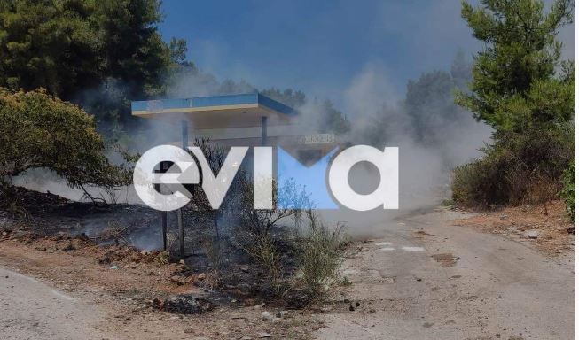φωτιά- Εύβοια