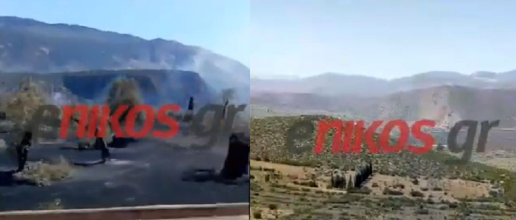 φωτιά Άμφισσα Φωκίδα