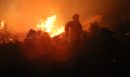 Φωτιές: Μελτέμια και ξηρασία θέτουν σε επιφυλακή τον κρατικό μηχανισμό – 41 δασικές πυρκαγιές το τελευταίο 24ωρο