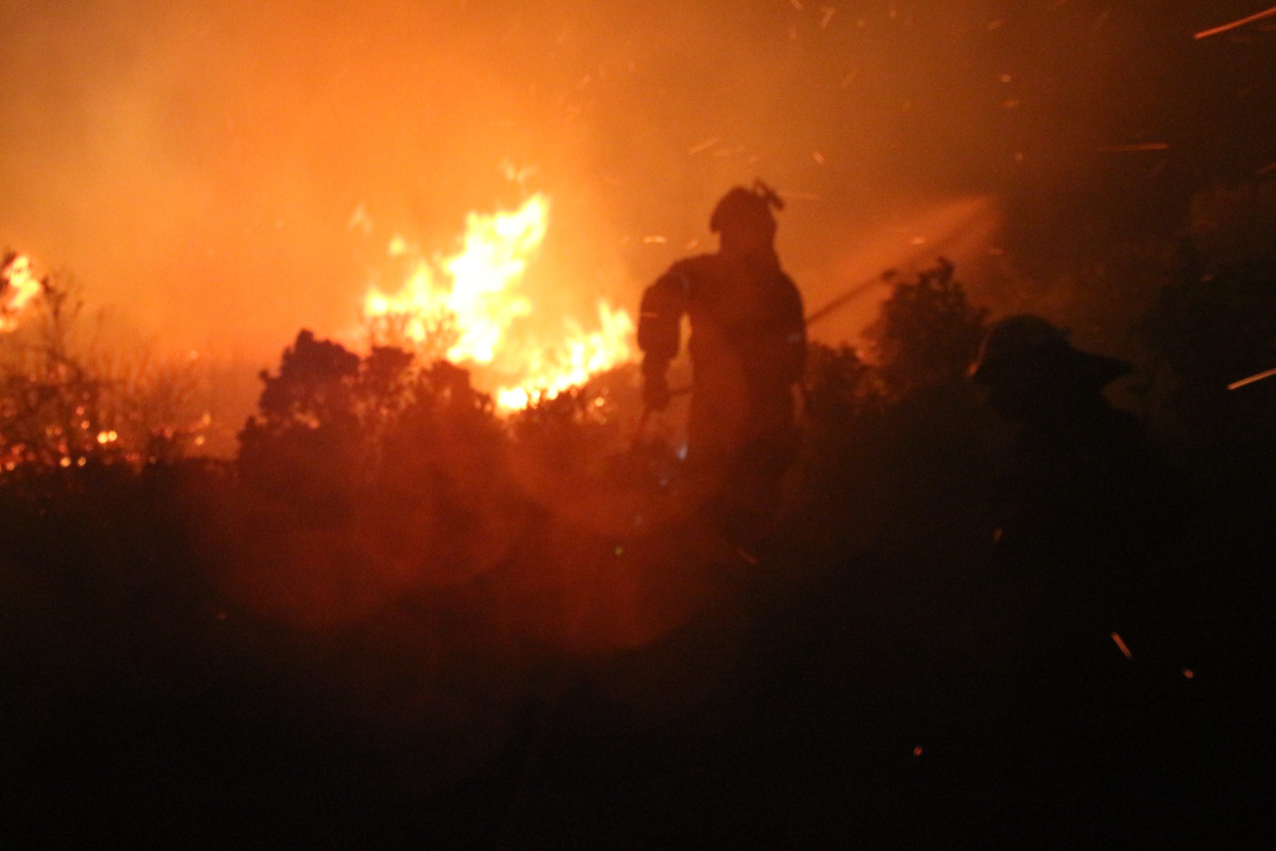 Φωτιές: Μελτέμια και ξηρασία θέτουν σε επιφυλακή τον κρατικό μηχανισμό – 41 δασικές πυρκαγιές το τελευταίο 24ωρο