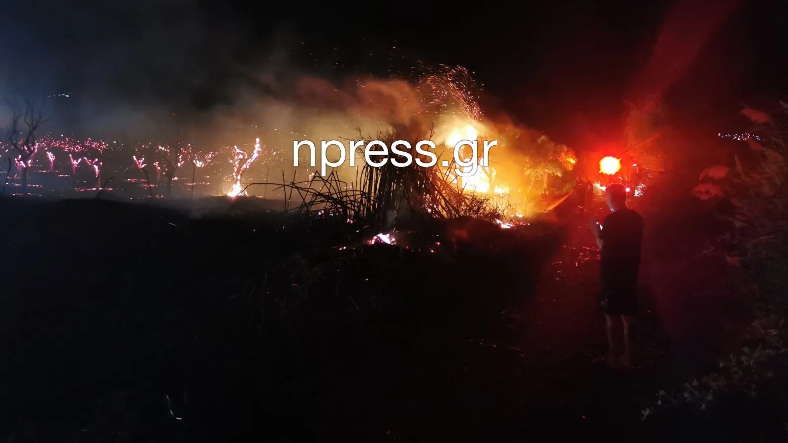 Φωτιά στα Μαλάματα Φωκίδας – Ορατή και από τη Ναύπακτο – BINTEO