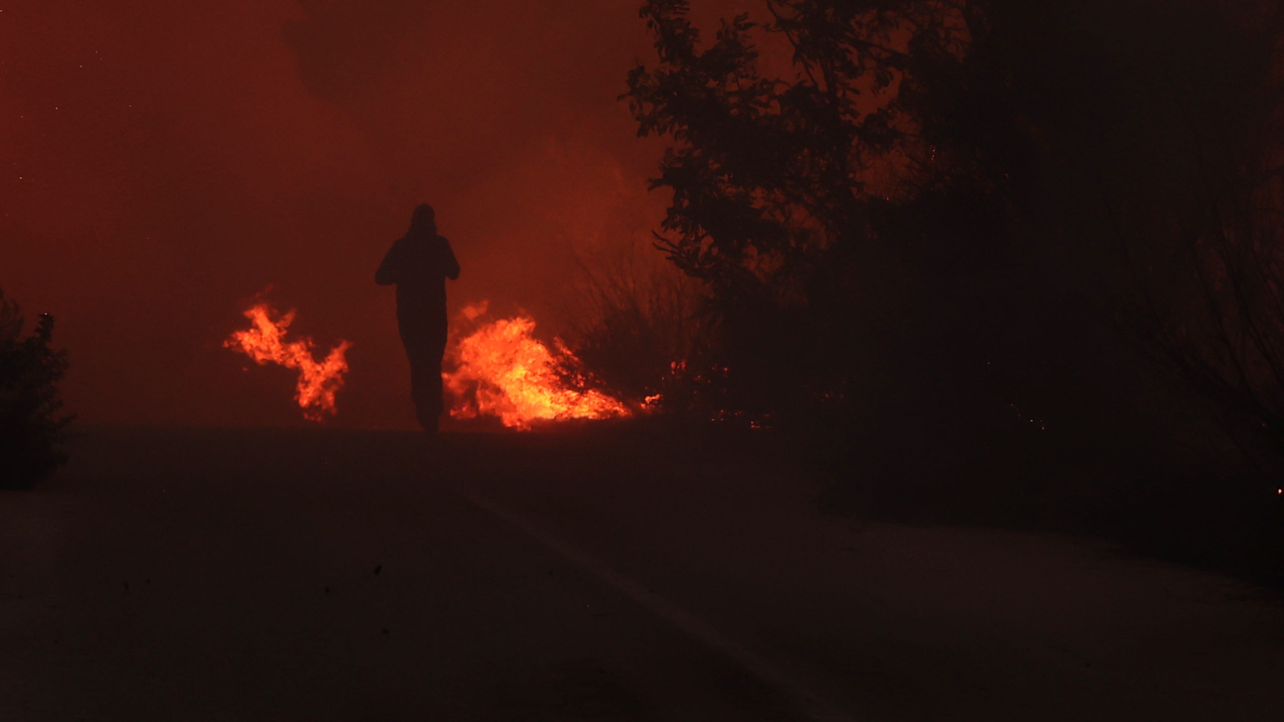 Φωτιά στην Πεντέλη