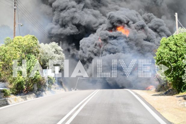 φωτιά Ηλεία