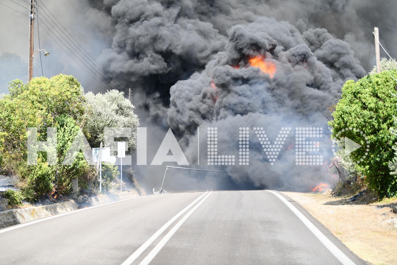 φωτιά Ηλεία