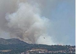 Φωτιά στη Μεσσηνία