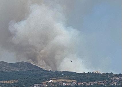 Φωτιά στη Μεσσηνία