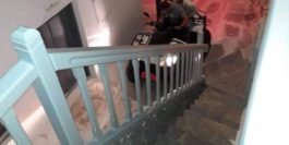 Μύκονος- γουρούνα