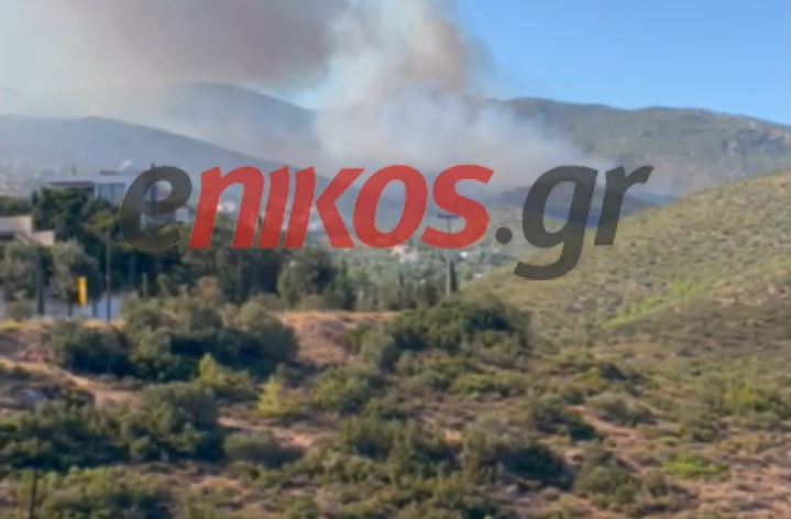 Νταού Πεντέλης: Νέες εικόνες από την φωτιά – ΒΙΝΤΕΟ αναγνώστη