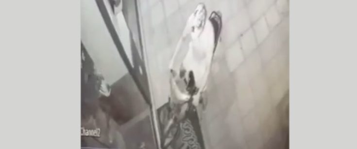 Βόλος- ληστεία