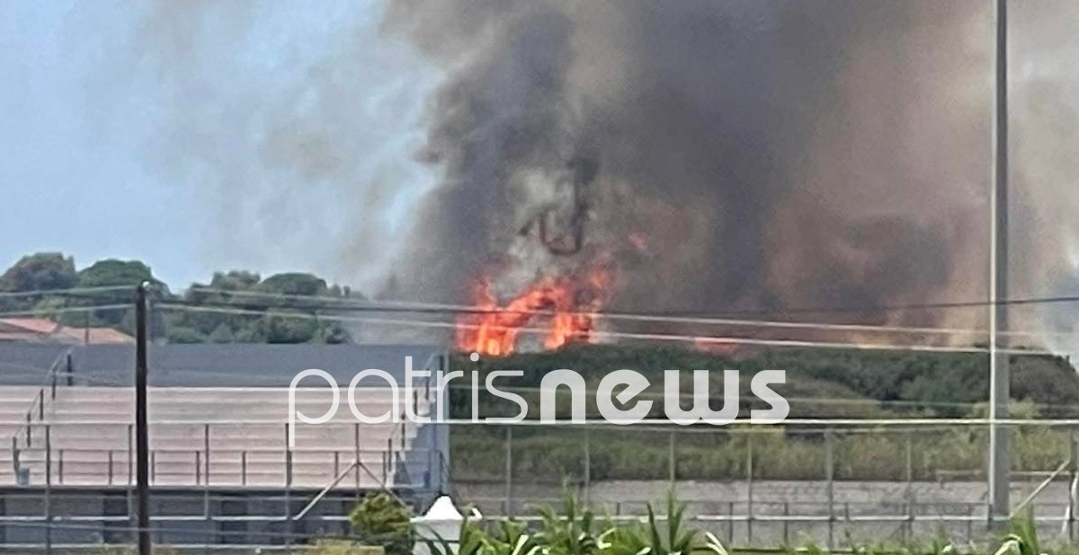 φωτιά Σπιάντζα Ηλείας