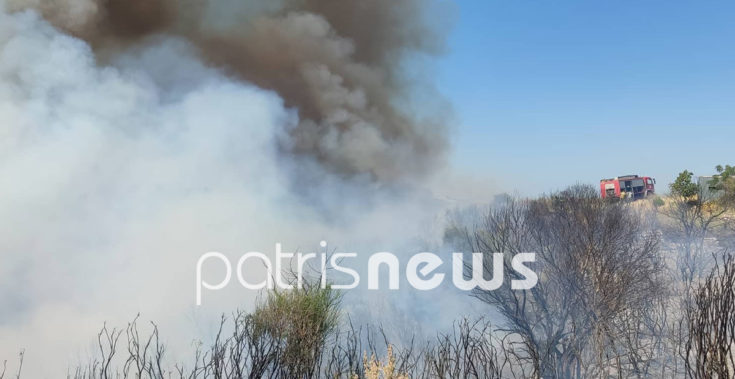 Φωτιά στην Ηλεία- Άγναντα
