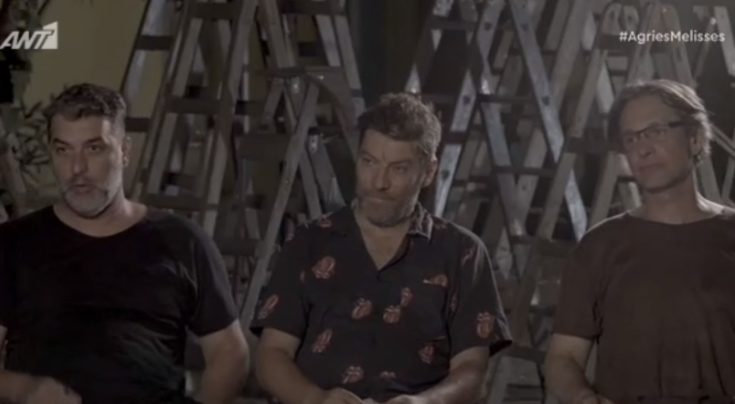 Άγριες Μέλισσες