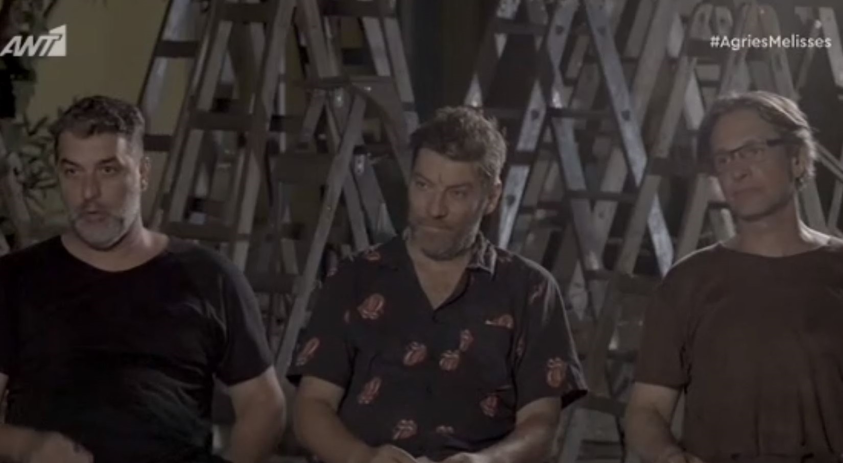 Άγριες Μέλισσες