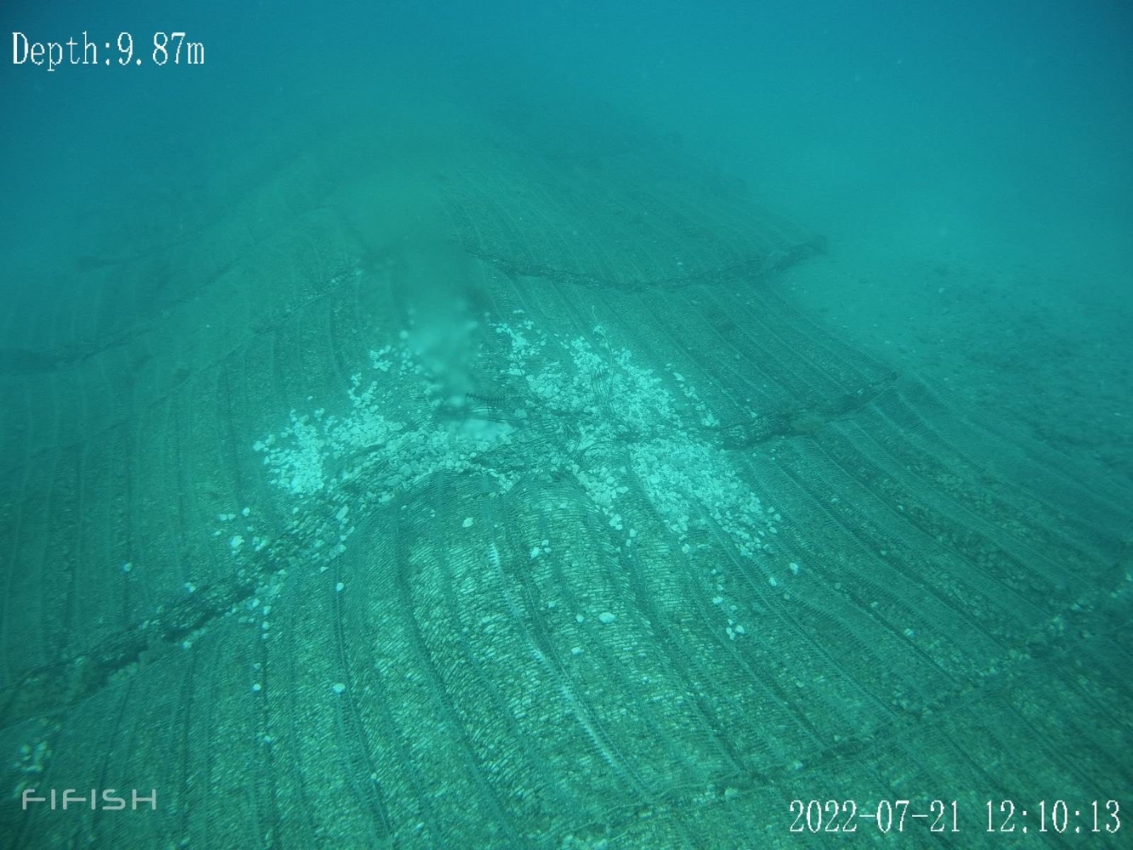 δολιοφθορά Αίγινα