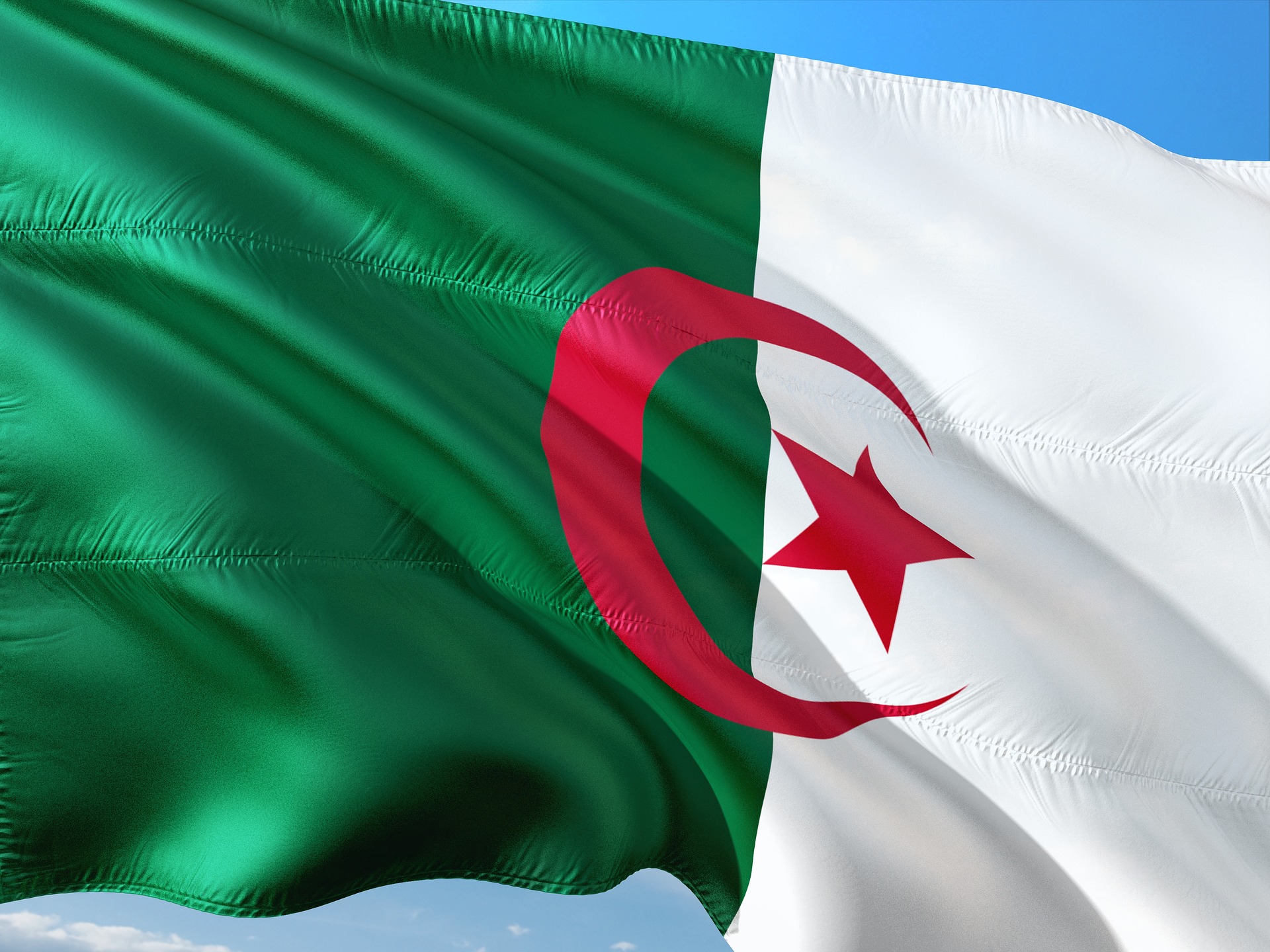 Google Doodle: Τιμά την Ημέρα Ανεξαρτησίας της Αλγερίας