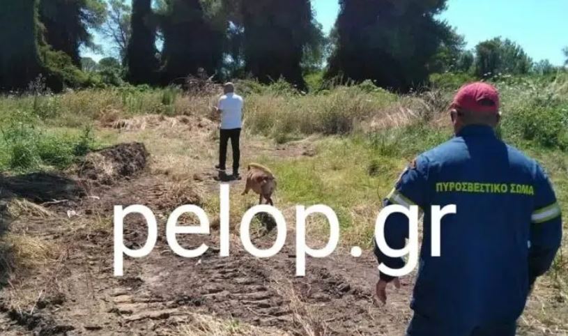 Μακάβριο μυστήριο στην Αχαΐα – Θαμμένος σε έλος ο 28χρονος που αγνοείται;