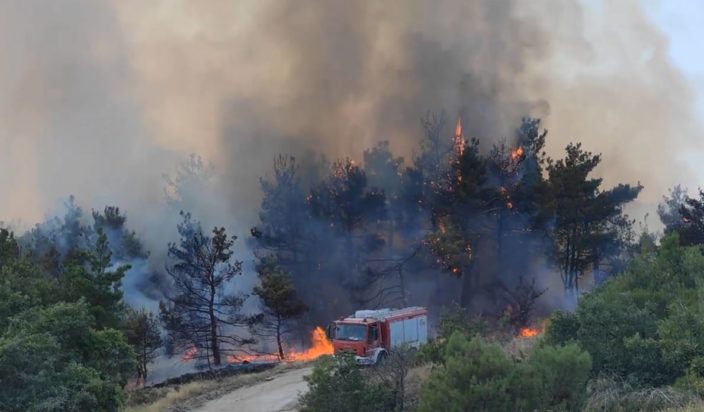 φωτιά Δαδιά