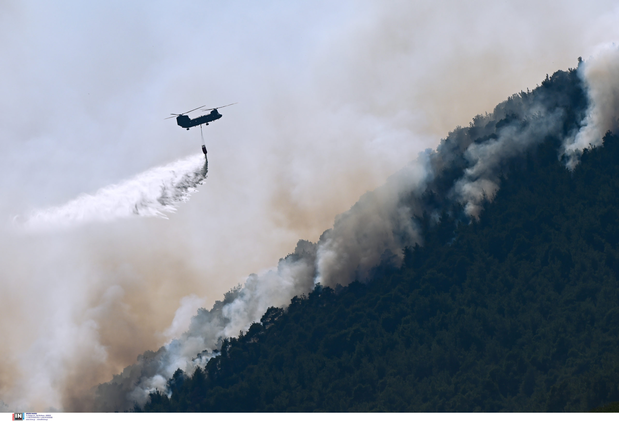 Φωτιά στη Δαδιά: Καίγεται για 8η μέρα το δάσος- Στάχτη πάνω από 40 χιλιάδες στρέμματα