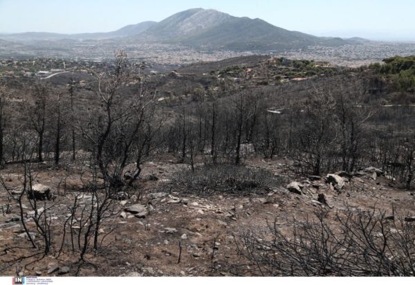 Νταού Πεντέλης μετά τη φωτιά