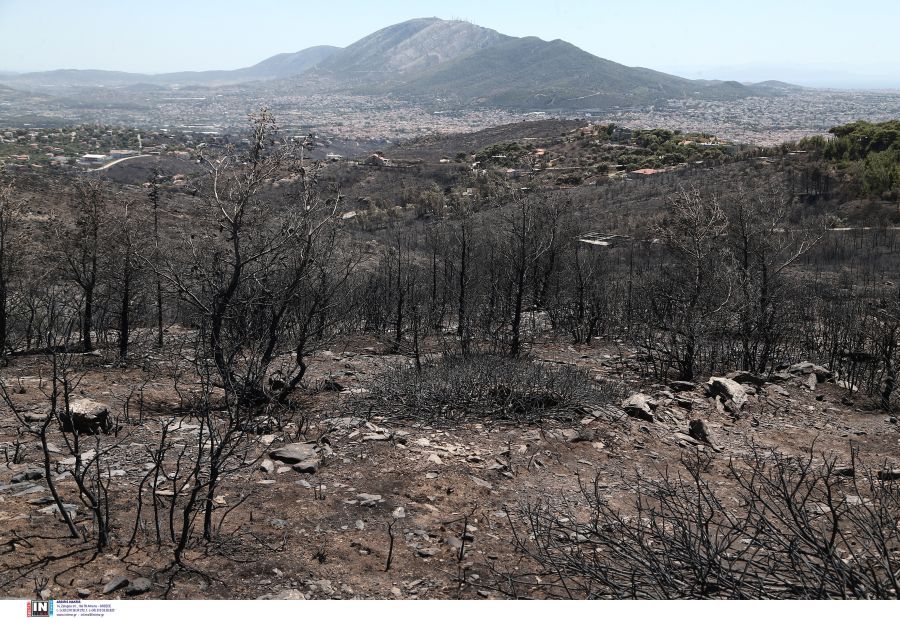 Νταού Πεντέλης μετά τη φωτιά